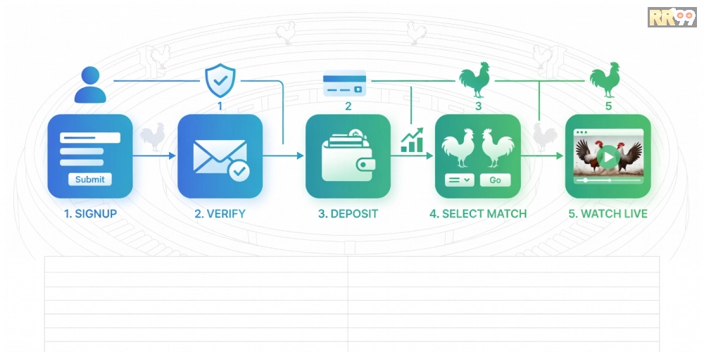 Hướng dẫn từng bước đăng ký và sử dụng nền tảng RR99 xem đá gà trực tiếp
