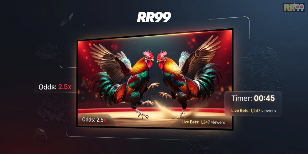 Minh họa giao diện xem đá gà trực tuyến rr99 với hình ảnh sắc nét và dễ sử dụng